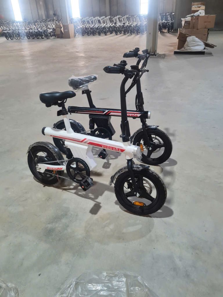 Xe đạp trợ lực FS02