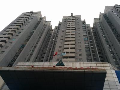 Cho thuê căn hộ 2PN view sông Hàn, Sơn Trà
