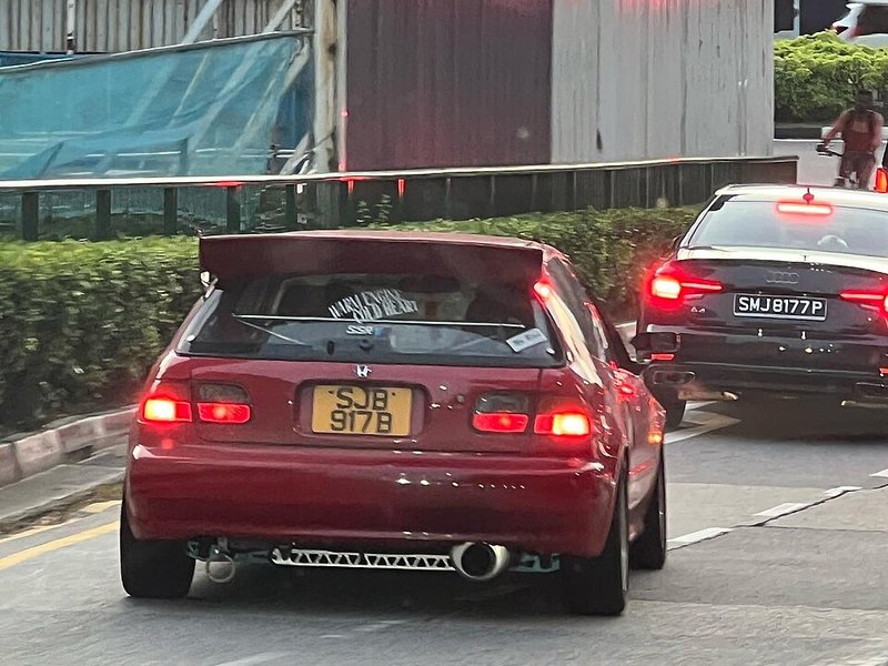 Ảnh 3